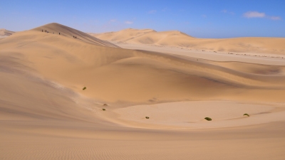 Namib Wüste Namibia (Alexander Mirschel)  Copyright 
Infos zur Lizenz unter 'Bildquellennachweis'
